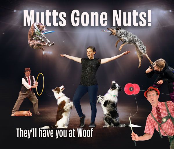 Mutts Gone Nuts 